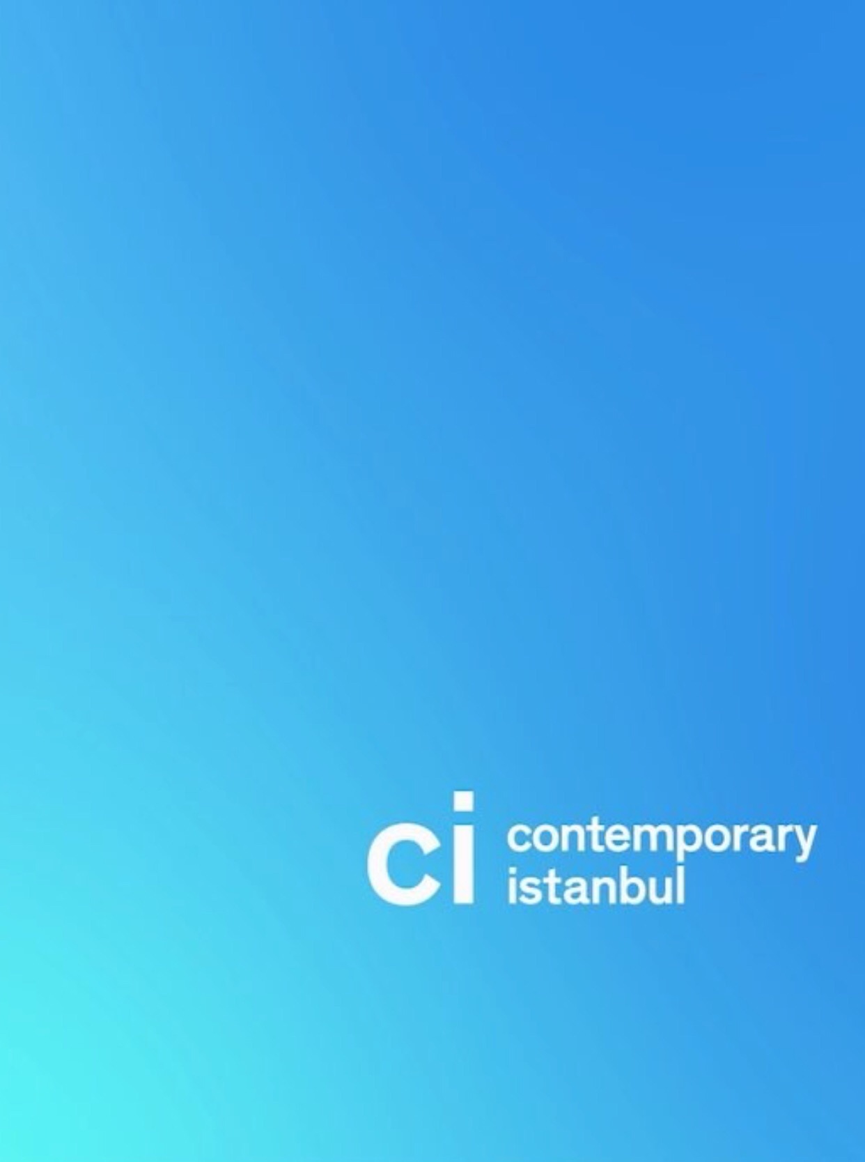 Contemporary Istanbul 2017