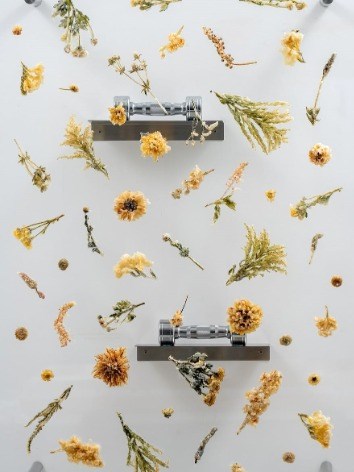 Art Basel Qatar 2026