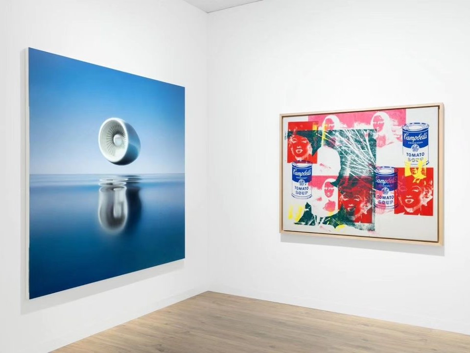 Installation view.