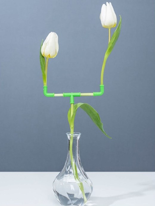 فوتو بازل ۲۰۲۵