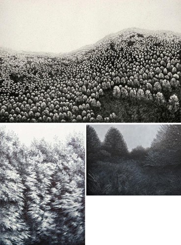 Mahsa Arabzadeh: About, Artworks and shows