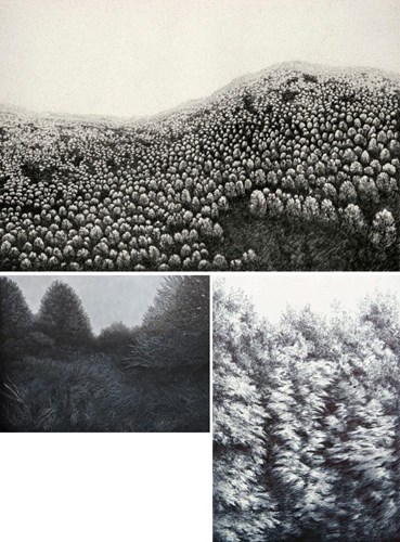 مهسا عرب‌زاده: درباره، آثار هنری و نمایشگاه ها