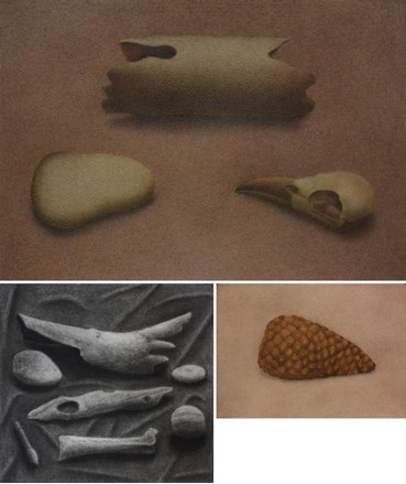 Noyan Farahi: About, Artworks and shows