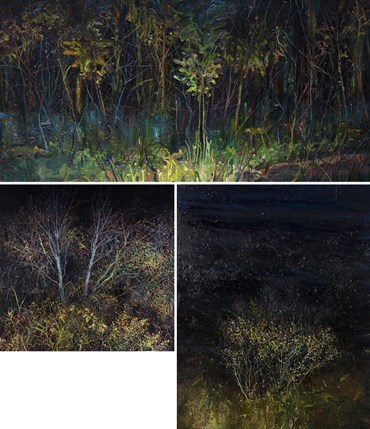 سعید خالقی: درباره، آثار هنری و نمایشگاه ها