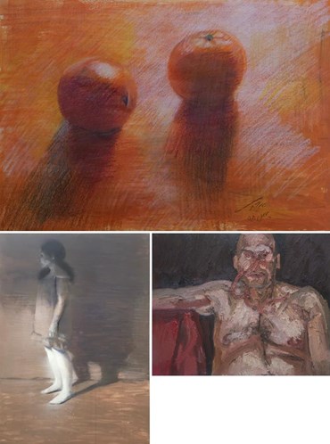 Ali Momajjed: About, Artworks and shows