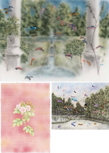 Sale Sharifi: About, Artworks and shows