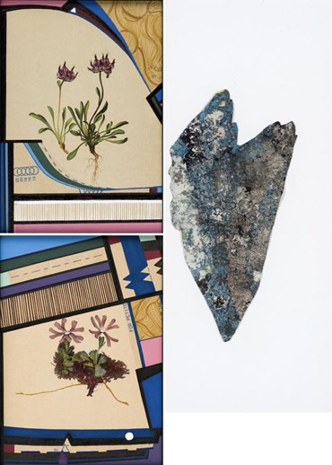 Farniyaz Zaker: About, Artworks and shows