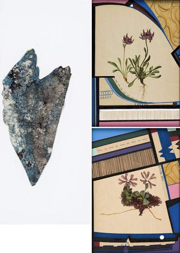 فرنیاز ذاکر: درباره، آثار هنری و نمایشگاه ها