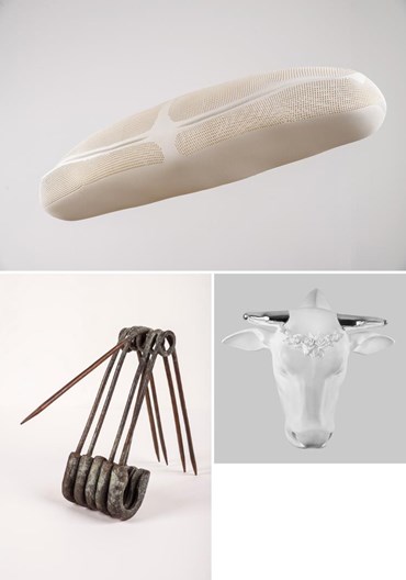 Raheleh Nooravar: About, Artworks and shows