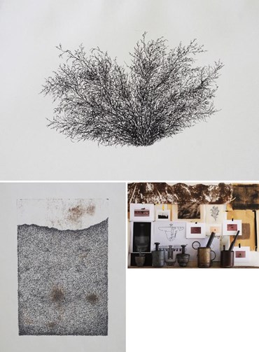 Mohammad Hassanzadeh: About, Artworks and shows