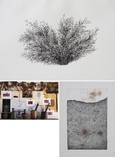 محمد حسن‌زاده: درباره، آثار هنری و نمایشگاه ها