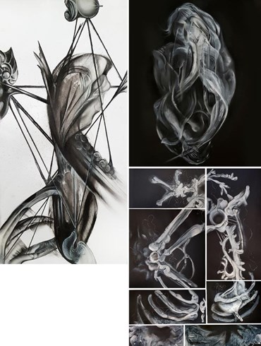 مهسا رجبی: درباره، آثار هنری و نمایشگاه ها