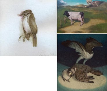 میرمحمد فتاحی: درباره، آثار هنری و نمایشگاه ها