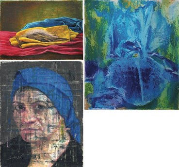 Mahmoud Saki: About, Artworks and shows