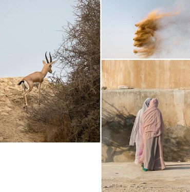 نگار یغماییان: درباره، آثار هنری و نمایشگاه ها