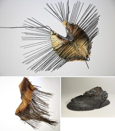 Hamidreza Farahnaki: About, Artworks and shows