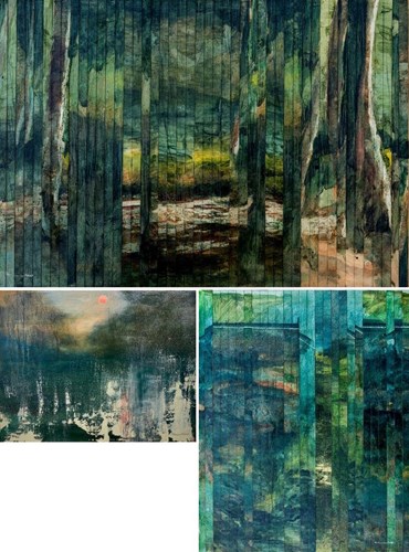 نویسا صیادیان: درباره، آثار هنری و نمایشگاه ها