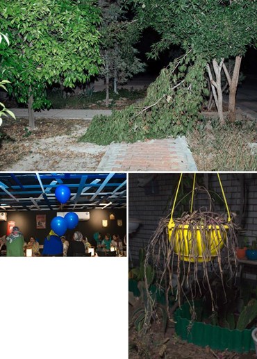 سارا عباس‌نژاد: درباره، آثار هنری و نمایشگاه ها