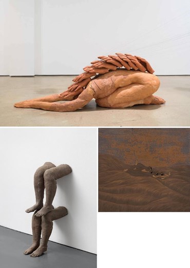 Roksana Pirouzmand: About, Artworks and shows