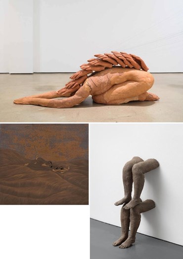 رکسانا پیروزمند: درباره، آثار هنری و نمایشگاه ها