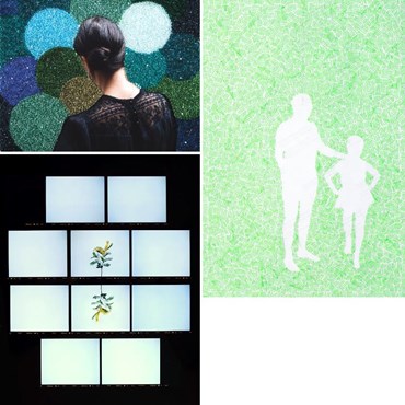 Sissi Farassat: About, Artworks and shows