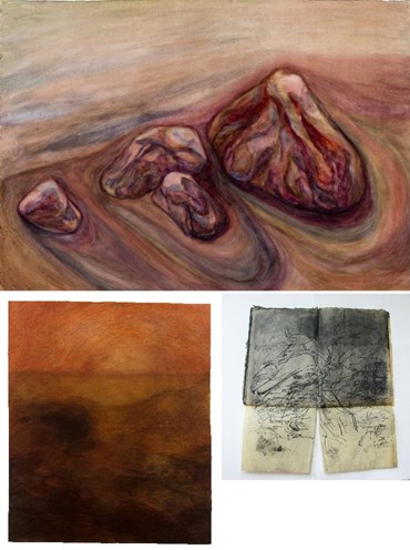 Qazaleh Aqarazi: About, Artworks and shows