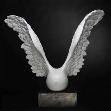 Sculpture, Nastaran Safaei, Flying, 2014, 5538