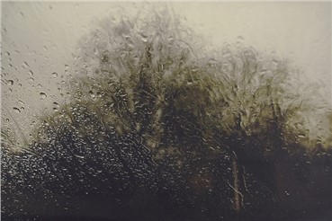 Print and Multiples, Abbas Kiarostami, Rain, , 5026