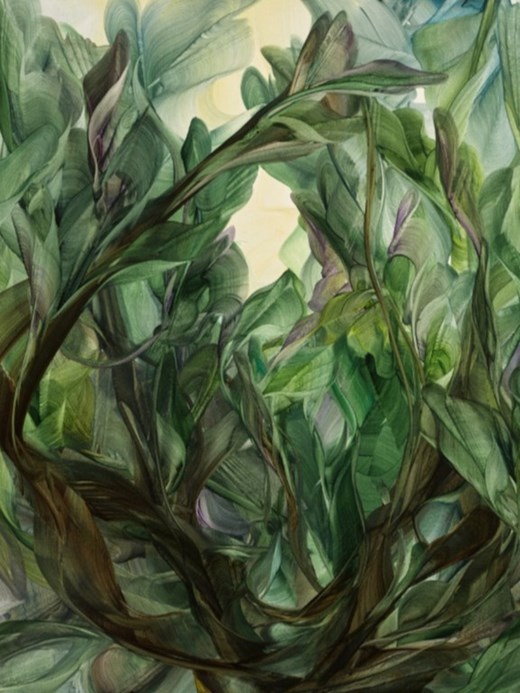 home-scroll-10