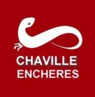 Chaville Encheres