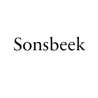 بی‌ینال سونزبیک logo