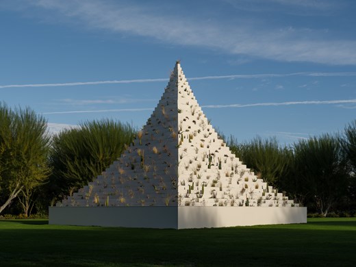 دزرت اکس ۲۰۲۵