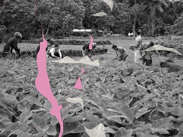 Hawai‘i Triennial 2025: ALOHA NŌ