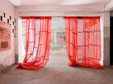 در پرتو دوسالانه داکار ۲۰۲۴: حرکتی برای انعکاس