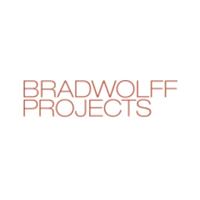 bradwolff projects