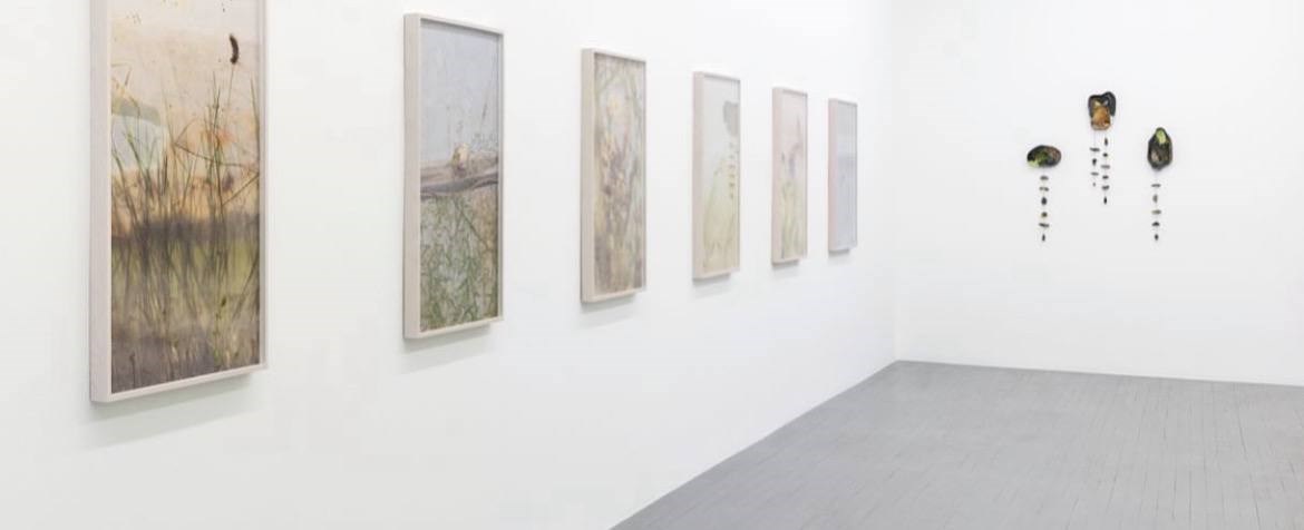 Zalucky Contemporary