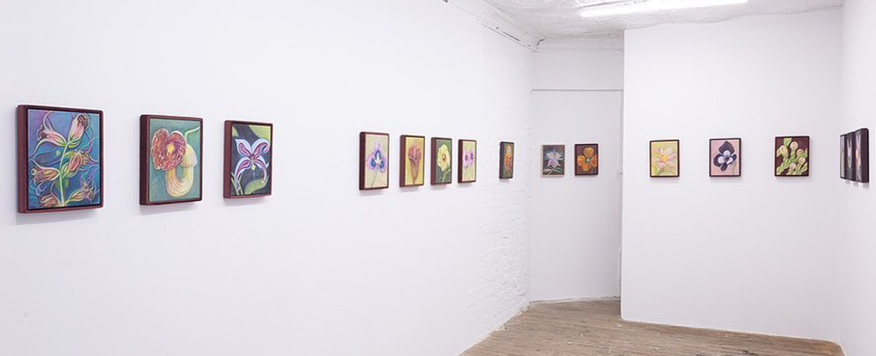 Situations Gallery