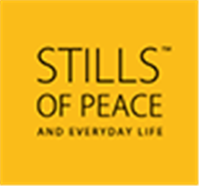 Stills of Peace Projects logo