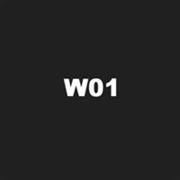 W01 Gallery logo