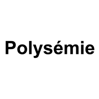 Galerie Polysemie