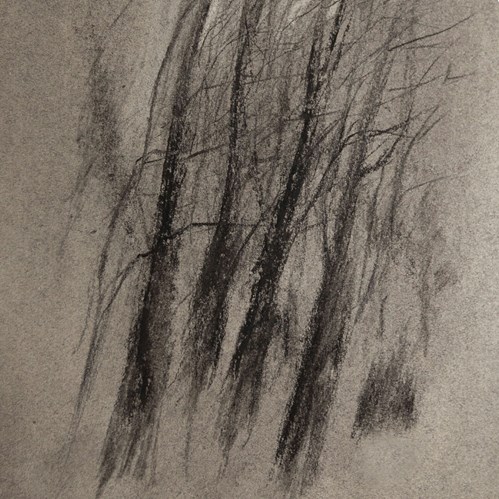 از خاک وهم، در هوای زوال