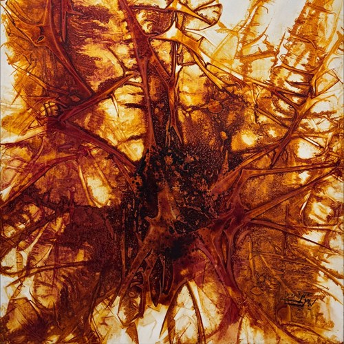 جنونِ طبیعت