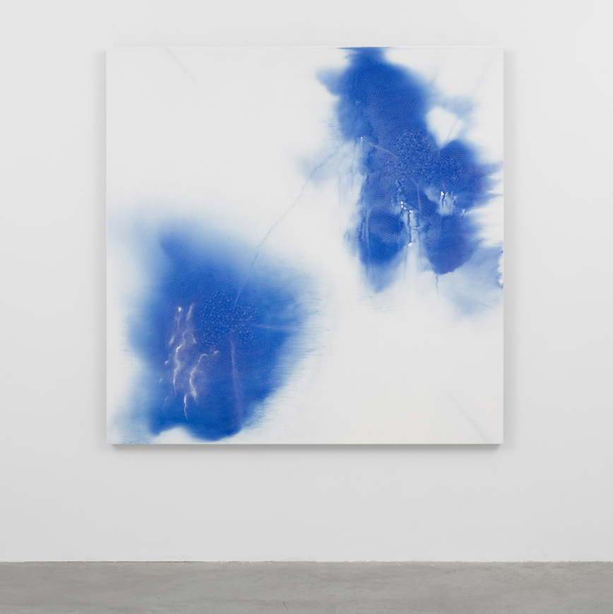 Shirazeh Houshiary's Artworks
