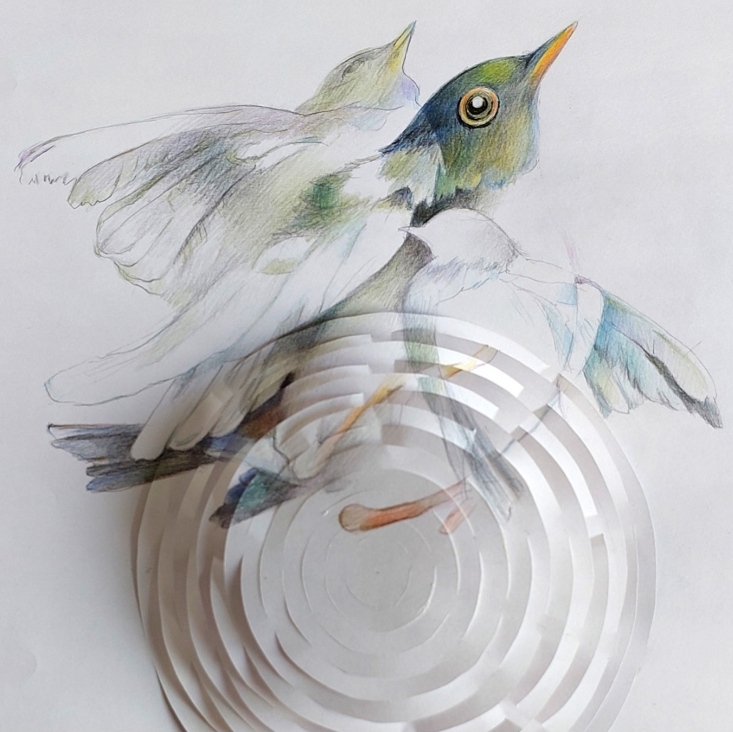 The Folding of Flight