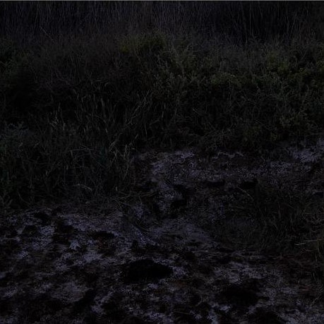 Landscapes Against Amnesia 9/41