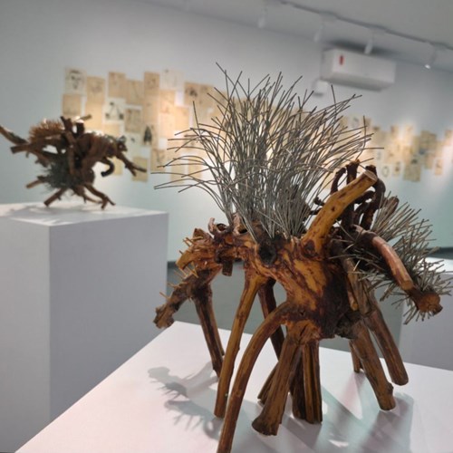 The Other Side of the Coin