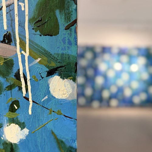 Plasticity of Imagination