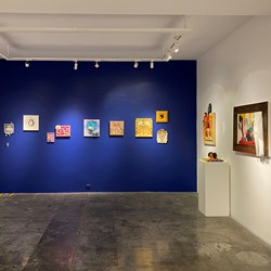 Shirin Gallery