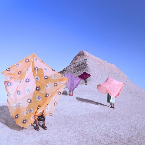 نمایش هنرهای زیبا تابستان ۲۰۲۴