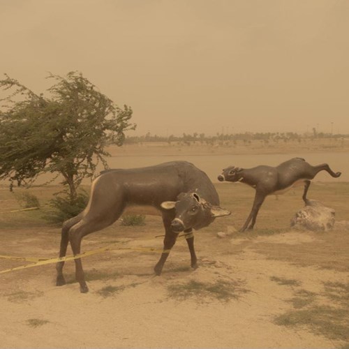 سه نگاه، سه راه